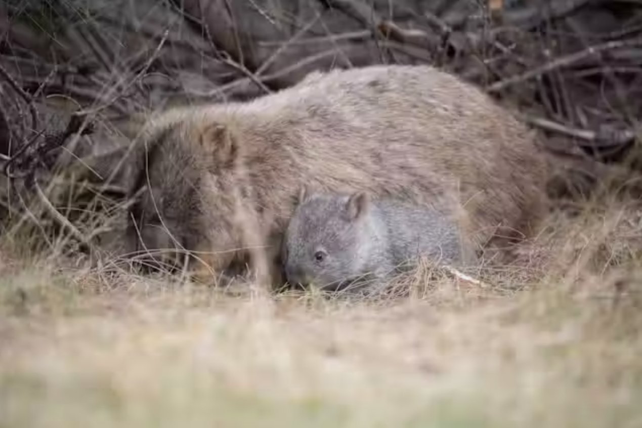 Tom Wayman/Shutterstock