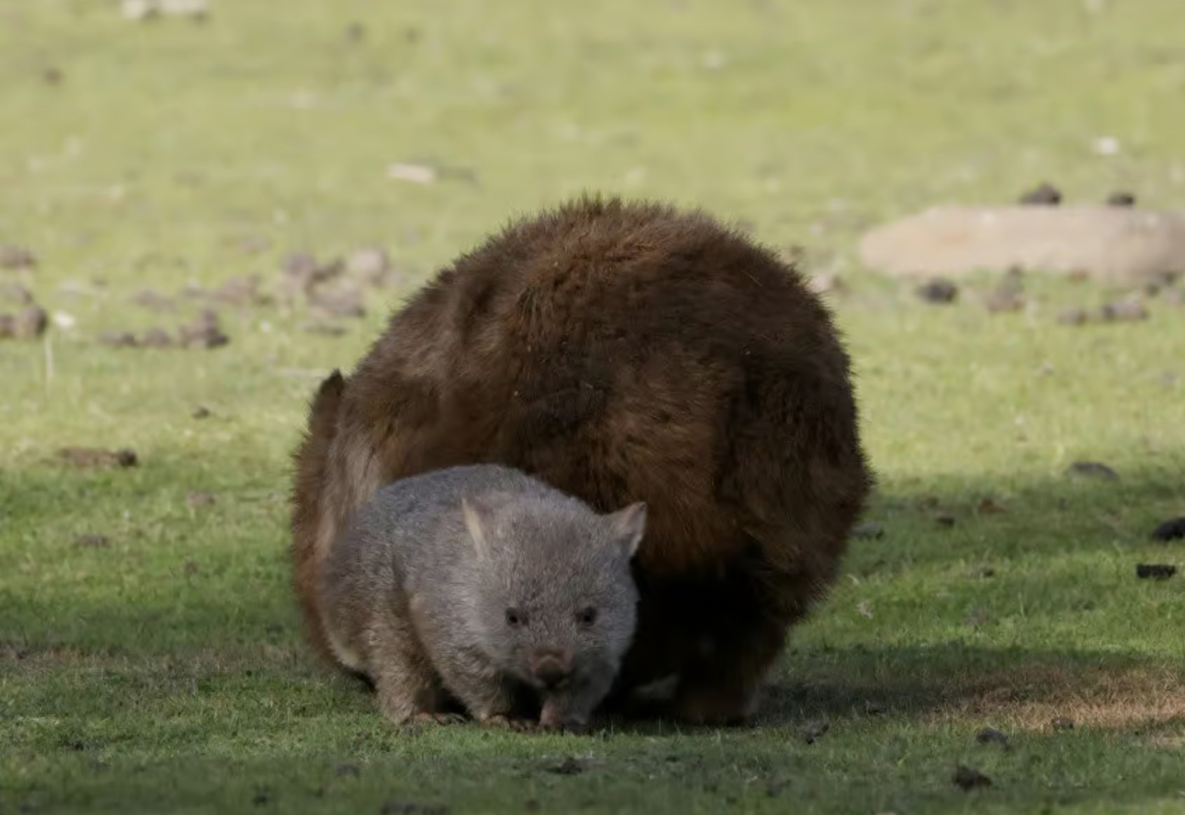 Credit: © pittafisher CC BY