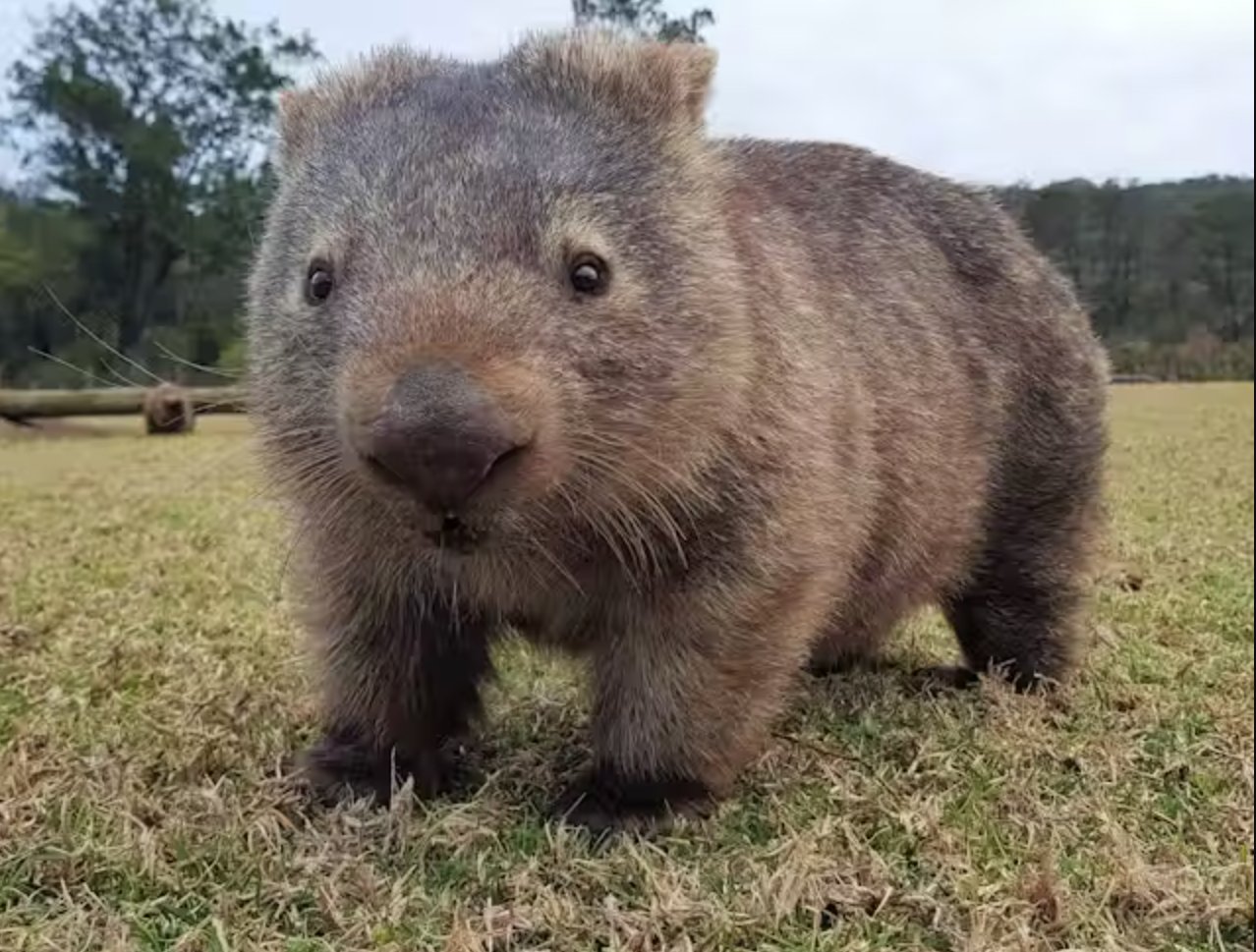 Sonijya/Shutterstock